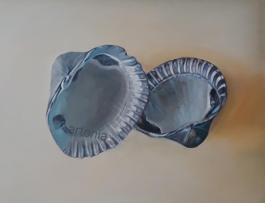 Schelpen Olieverf 30x30 Olieverf