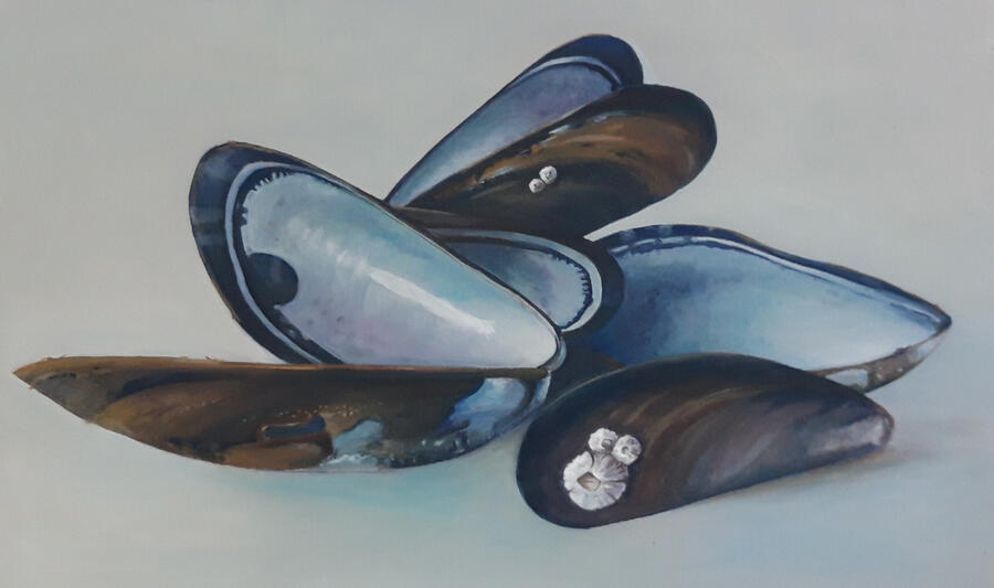 Schelpen Olieverf 30x30 Olieverf