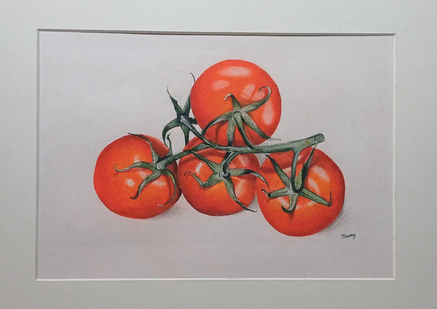 Schelpen Olieverf 30x30 Olieverf