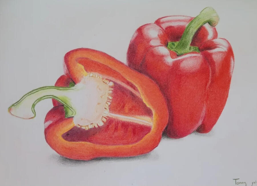 Schelpen Olieverf 30x30 Olieverf